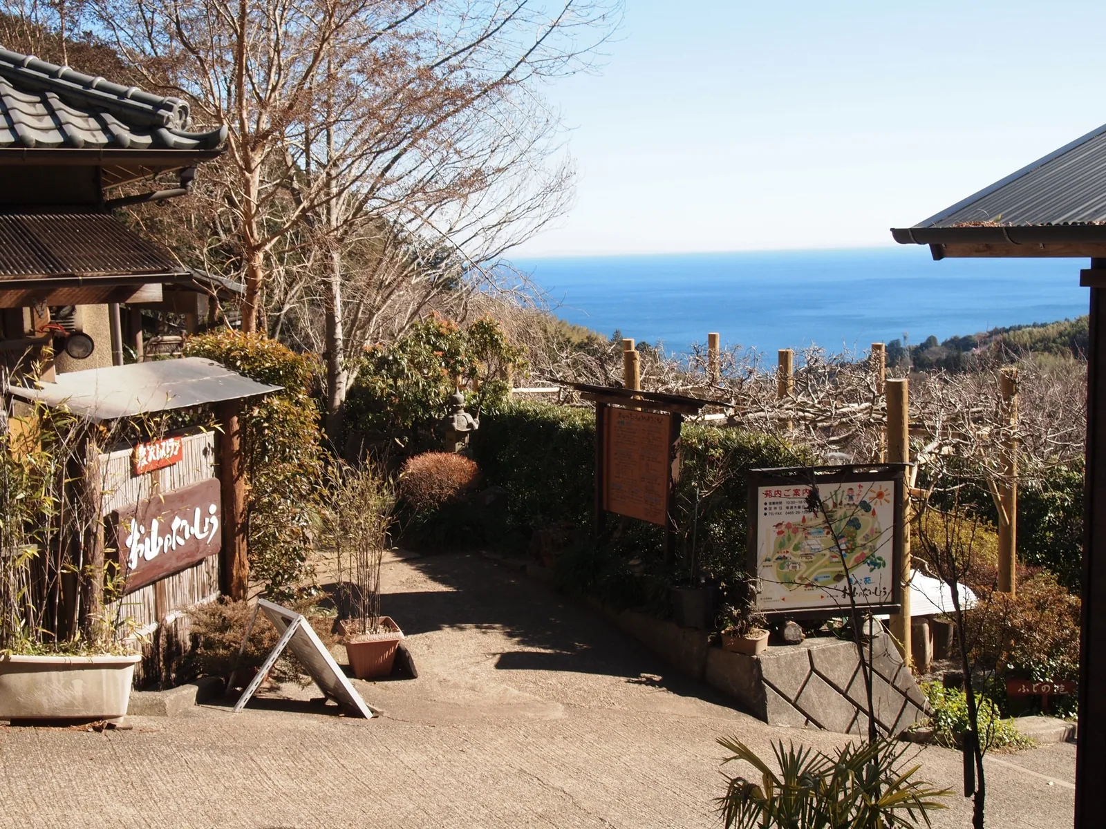 きのこ苑お山のたいしょう