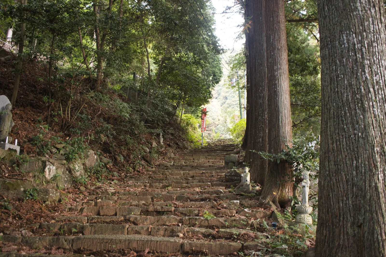 大楠山ハイキングコース