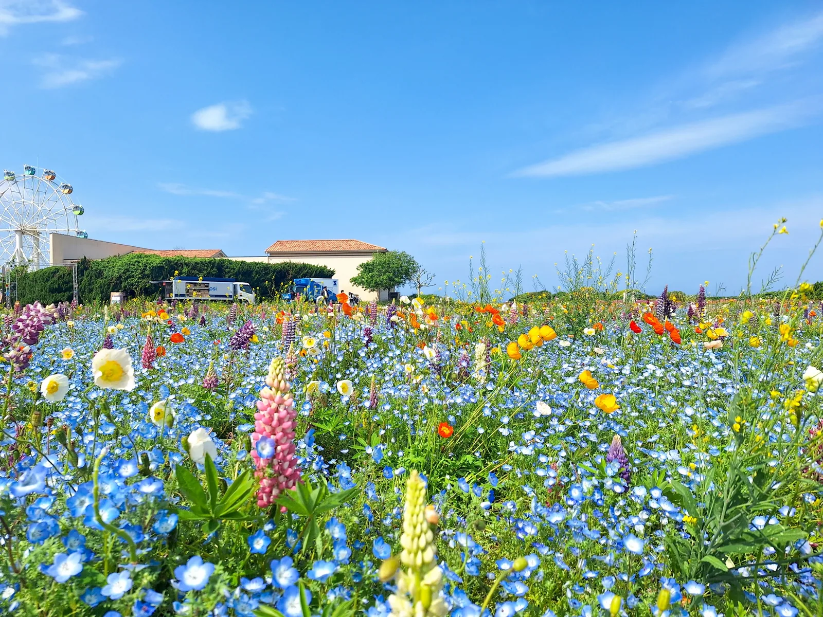 長井海の手公園 ソレイユの丘