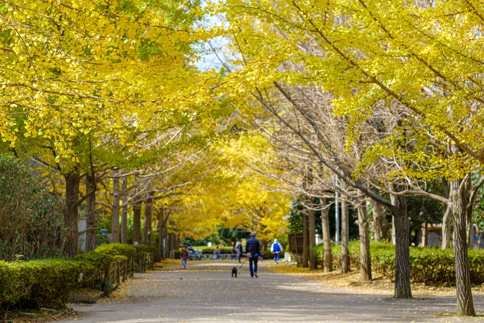 南郷上ノ山公園
