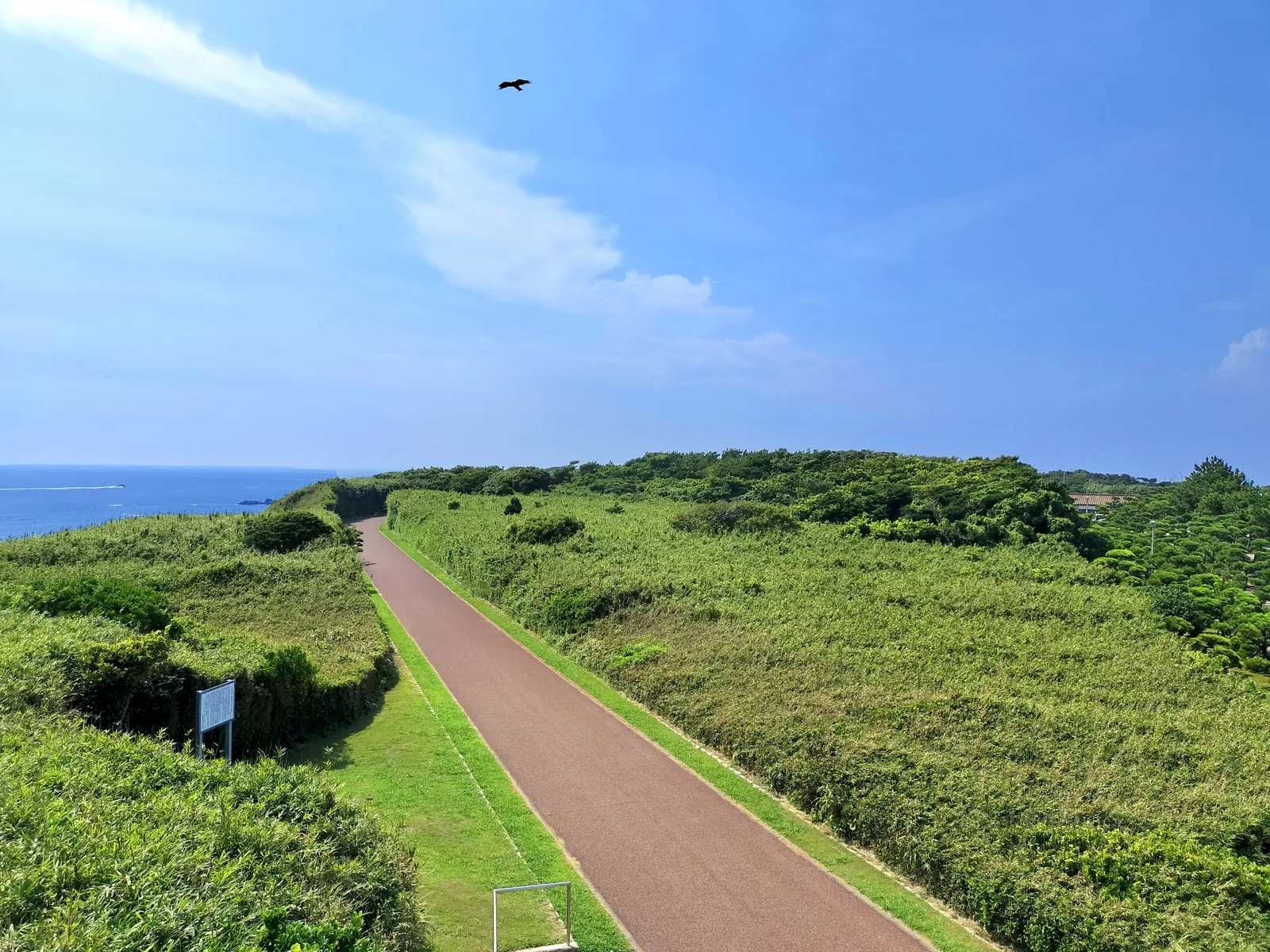 県立城ケ島公園