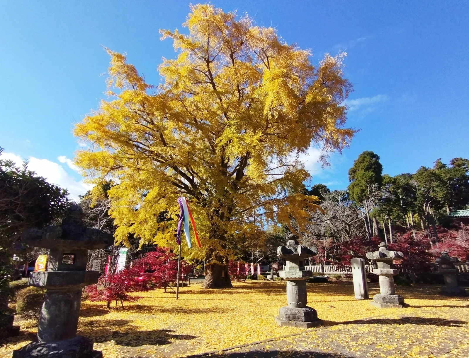 鹿野山 神野寺