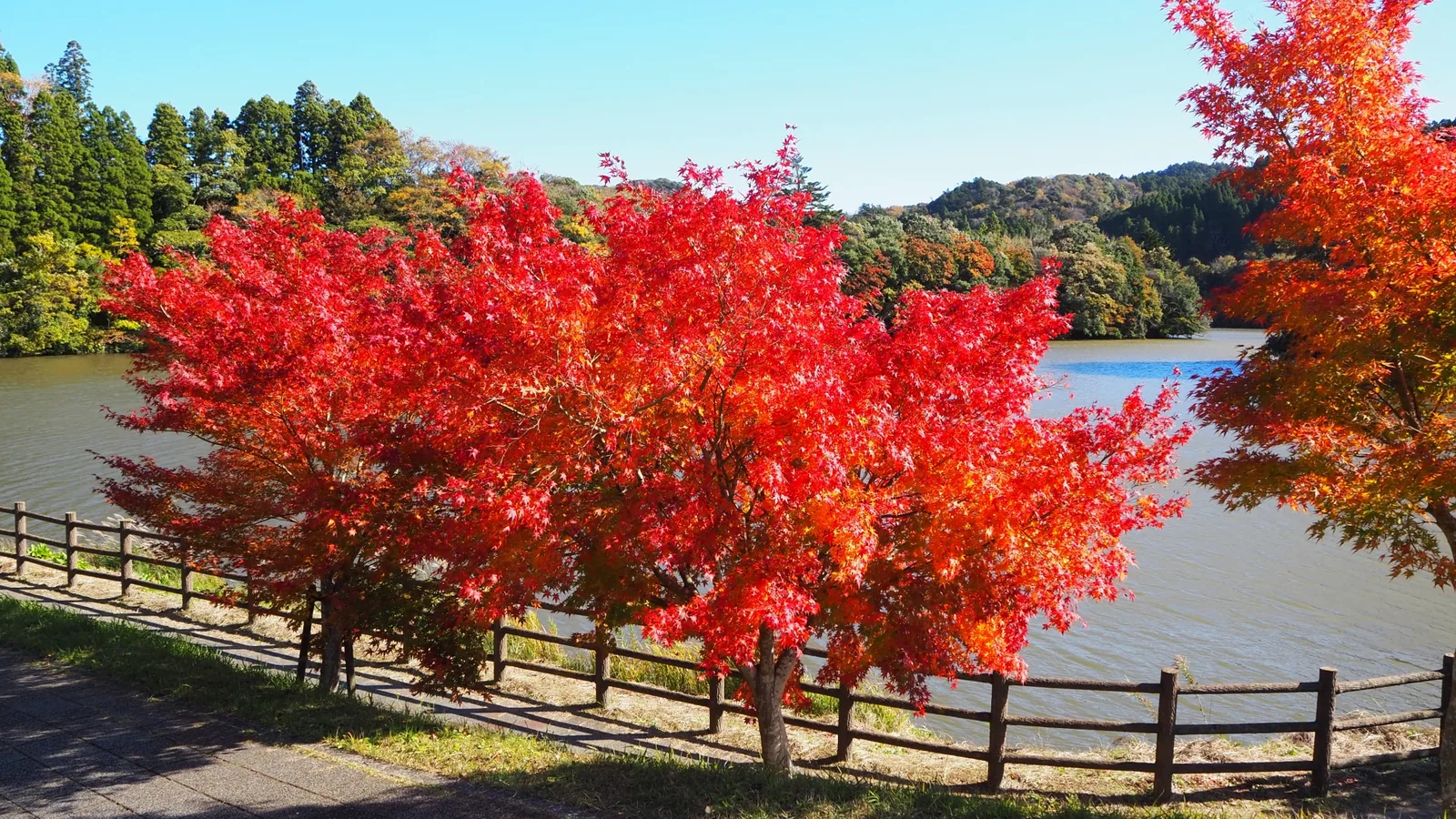亀山湖