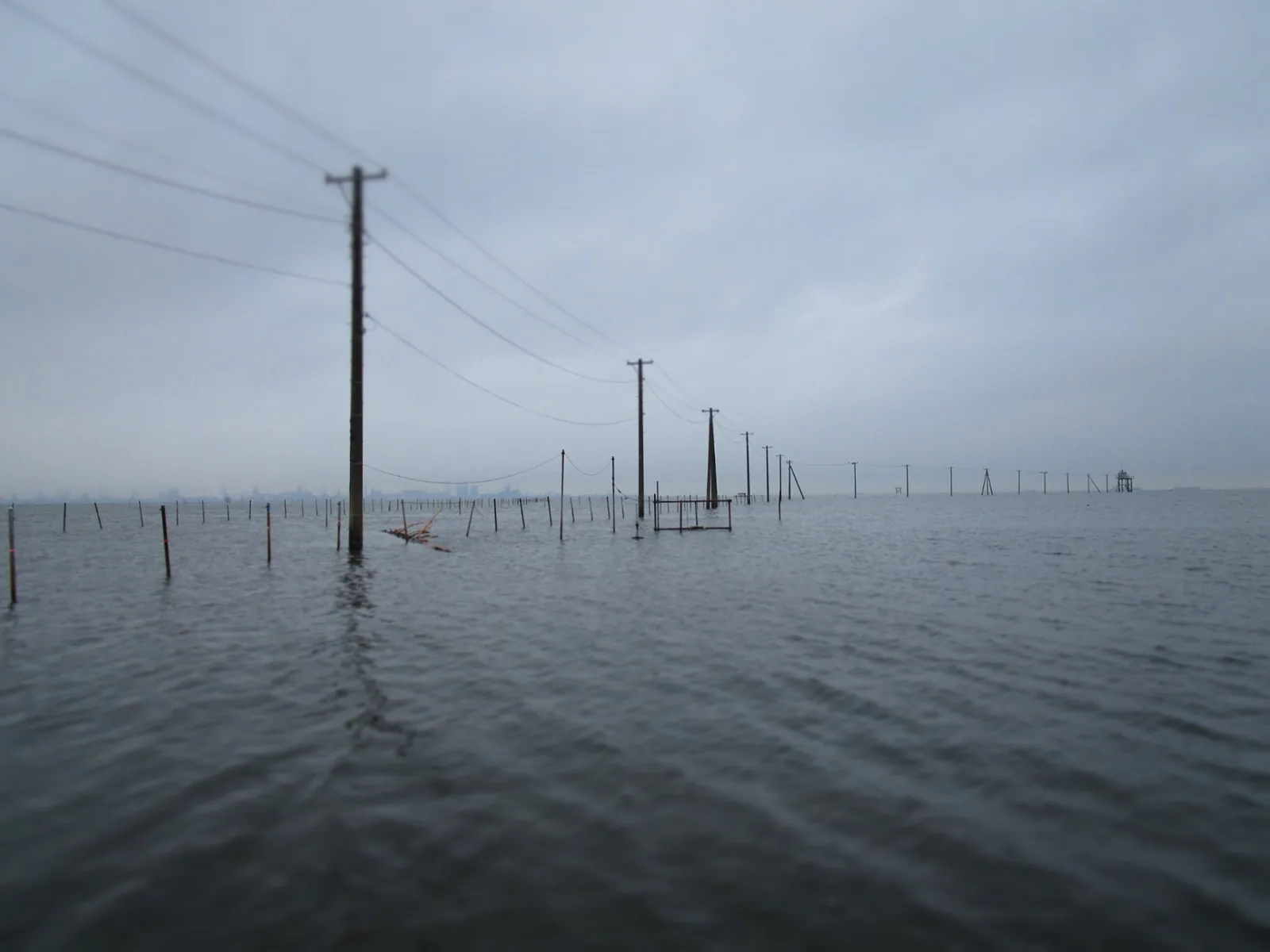 久津間海岸潮干狩り場