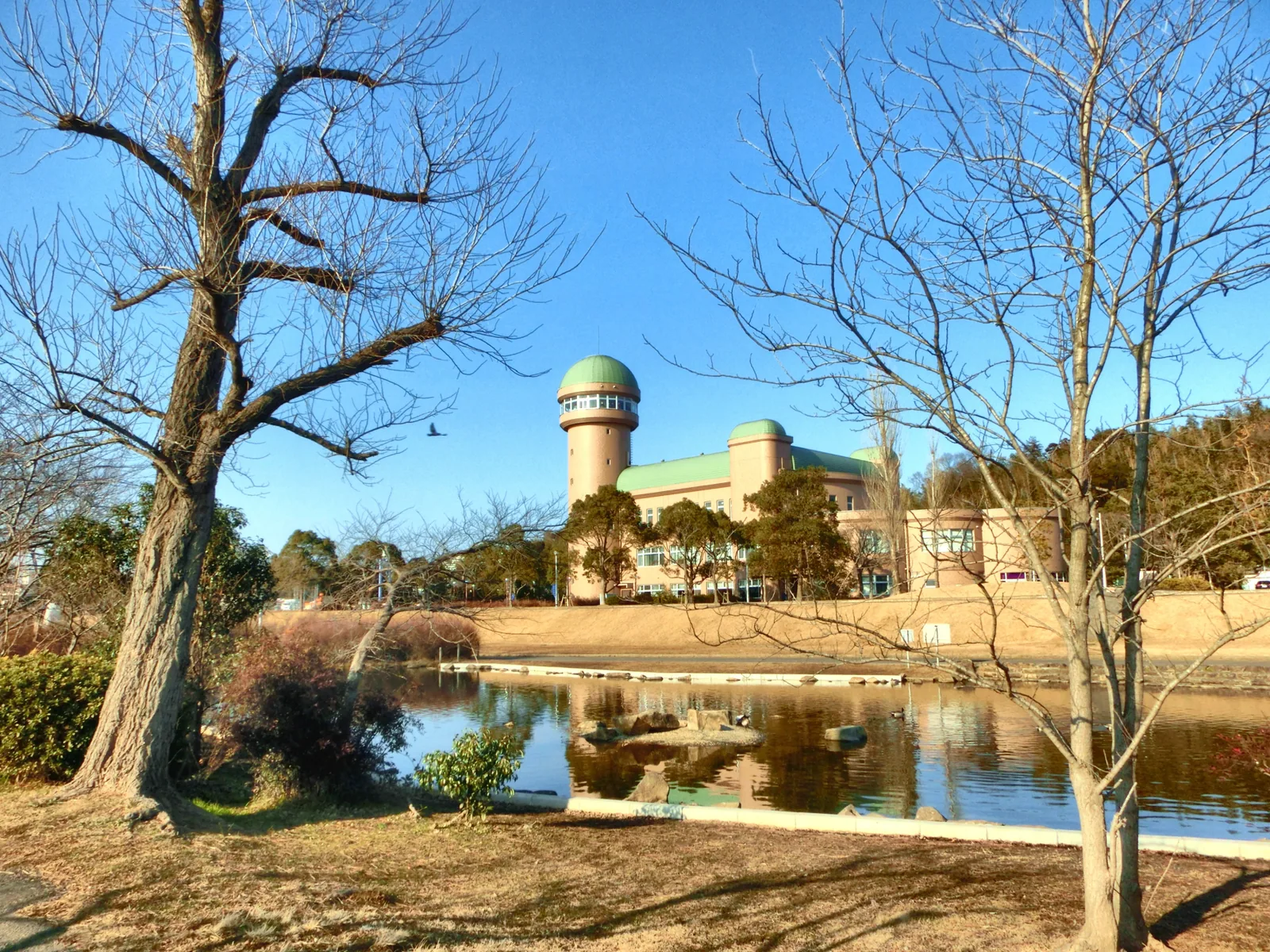 手賀沼親水広場・水の館