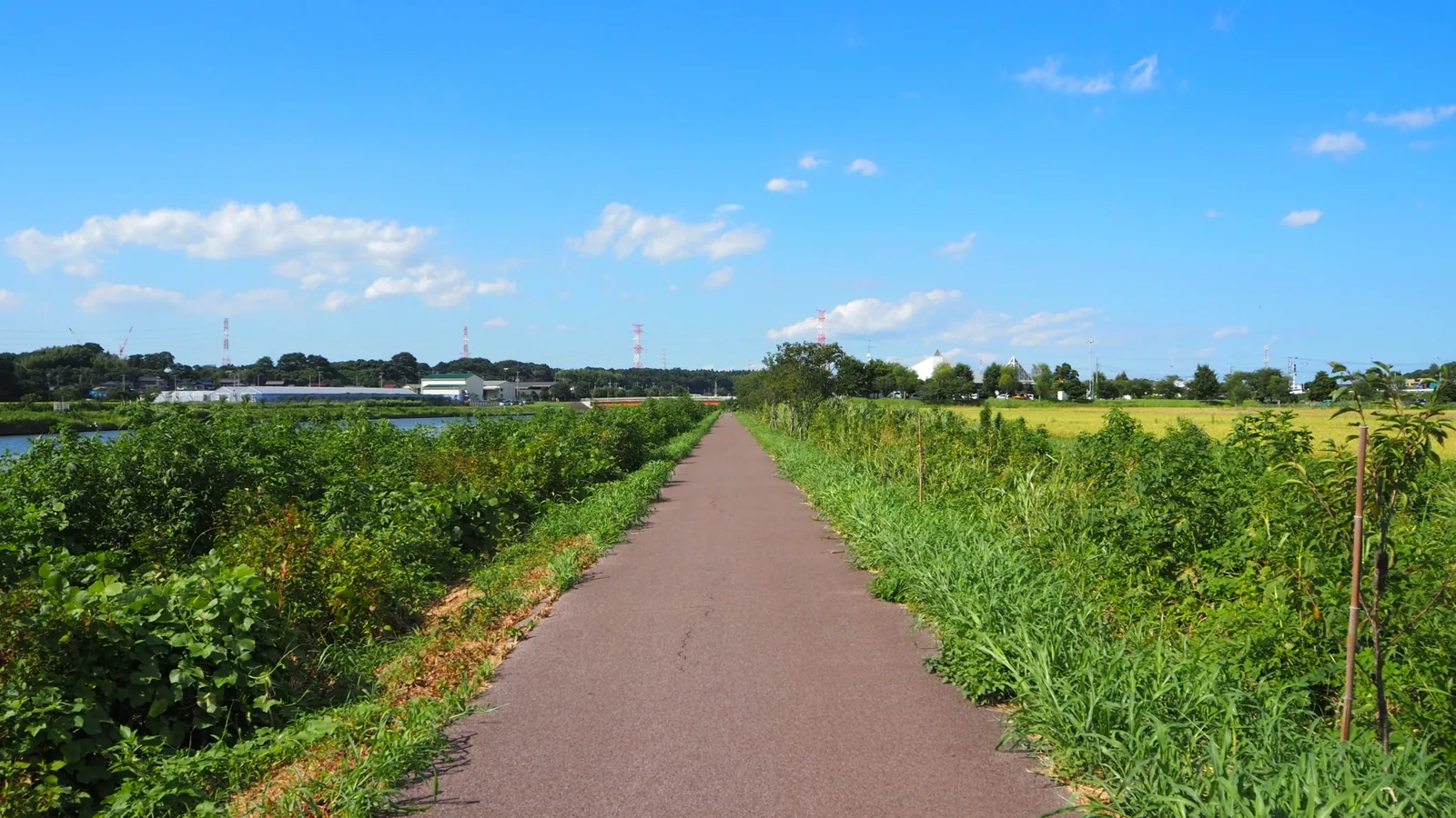 新川遊歩道