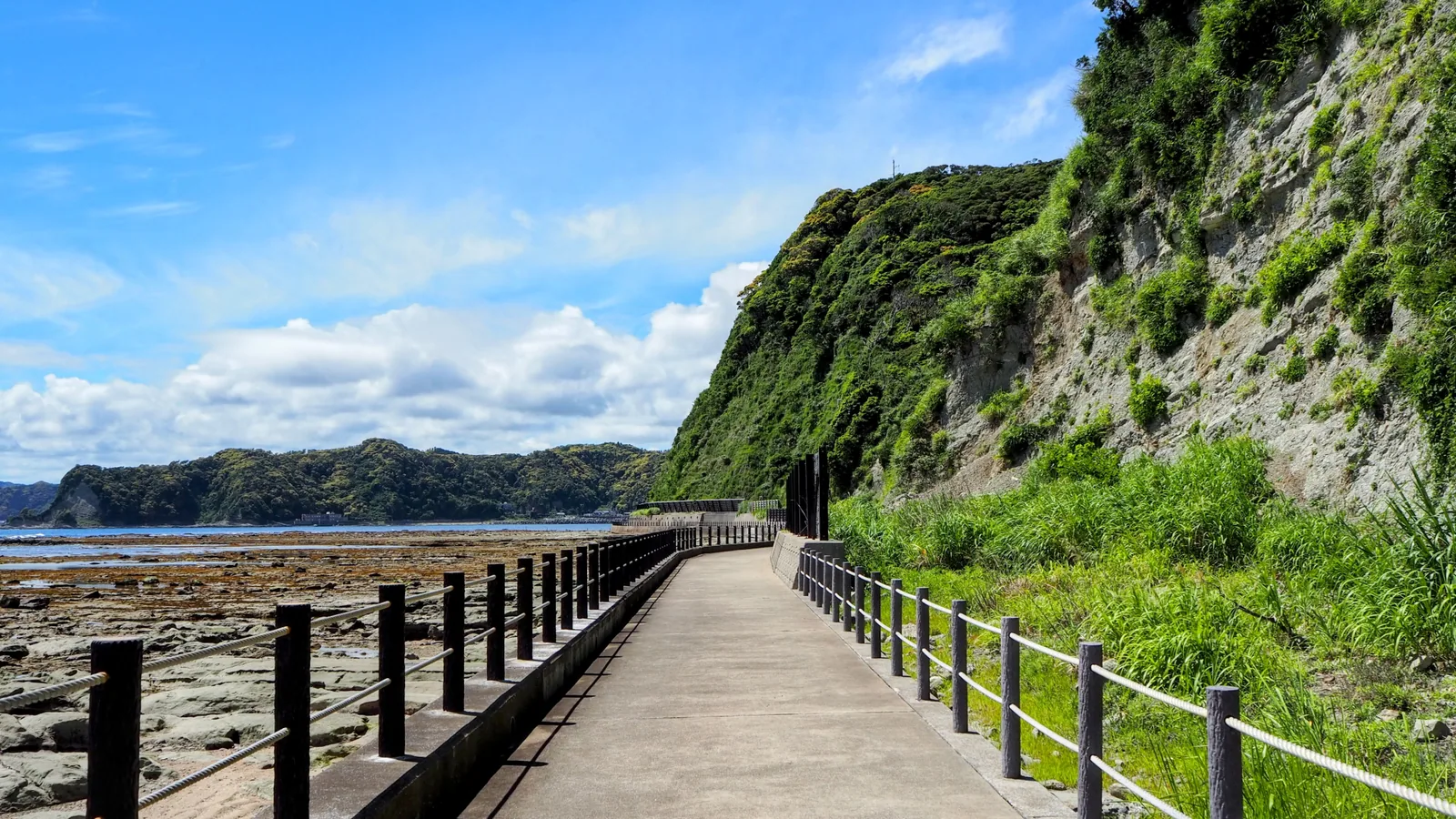 鯛の浦
