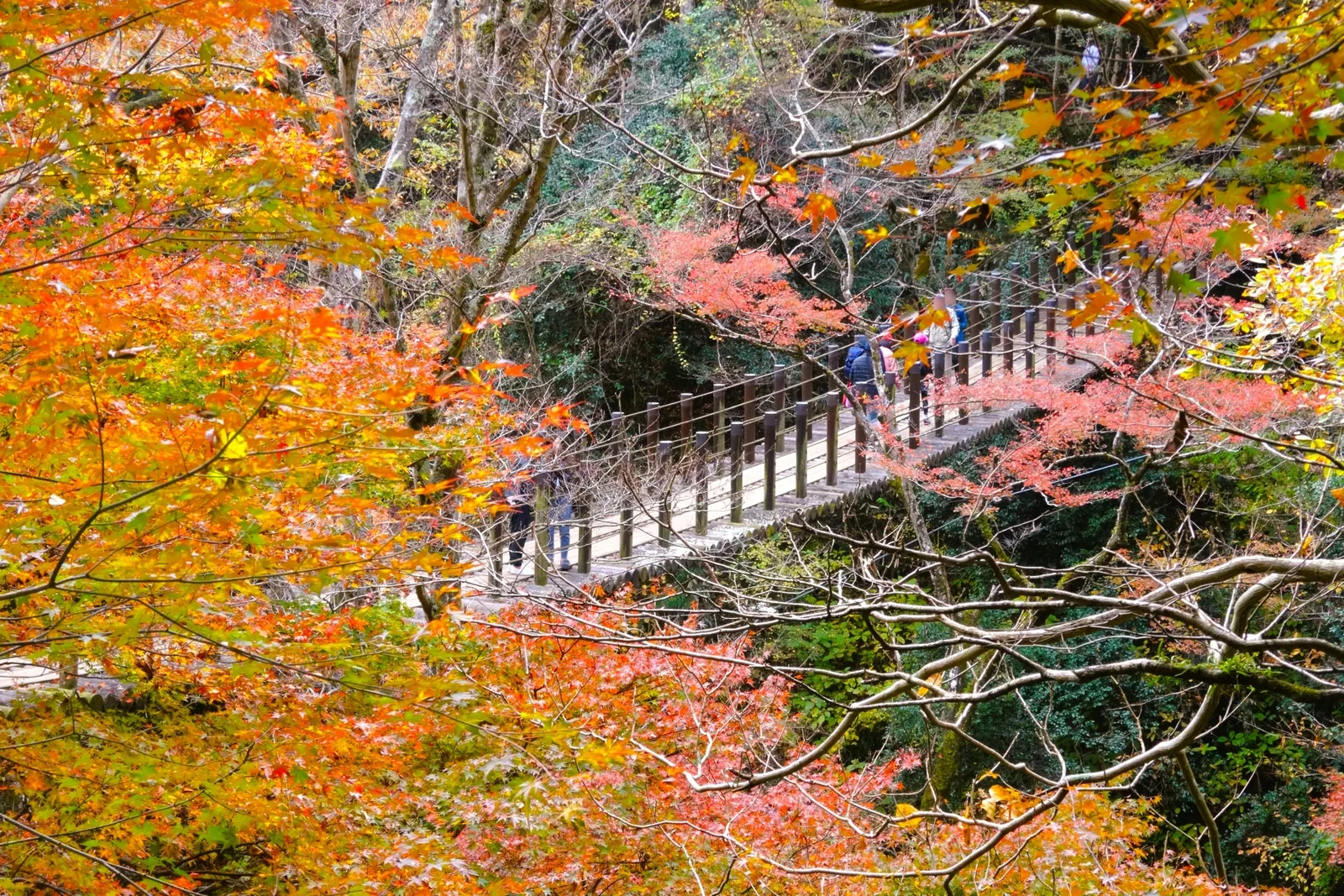 花貫渓谷