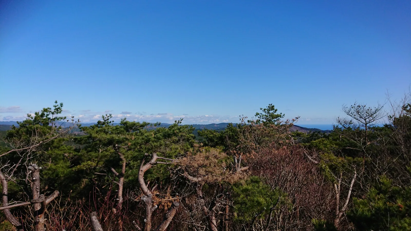 竪破山