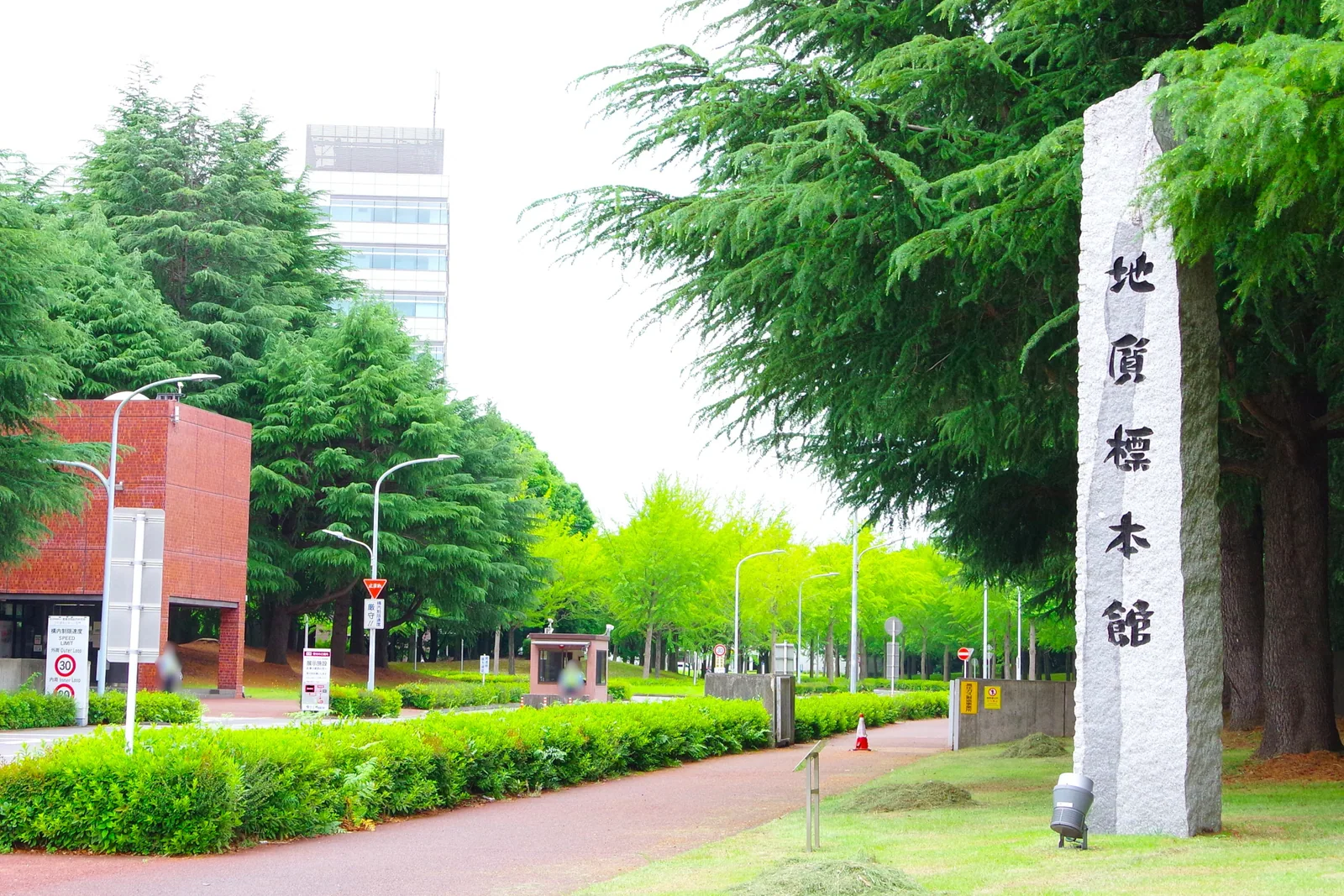 地質標本館