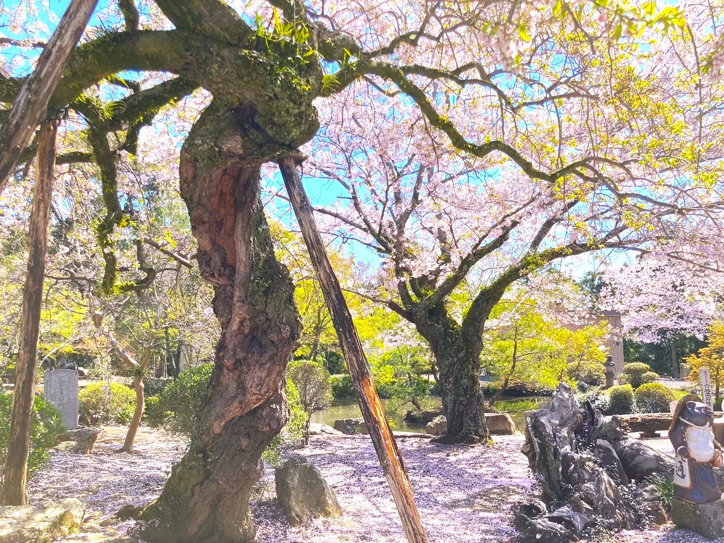 東城寺
