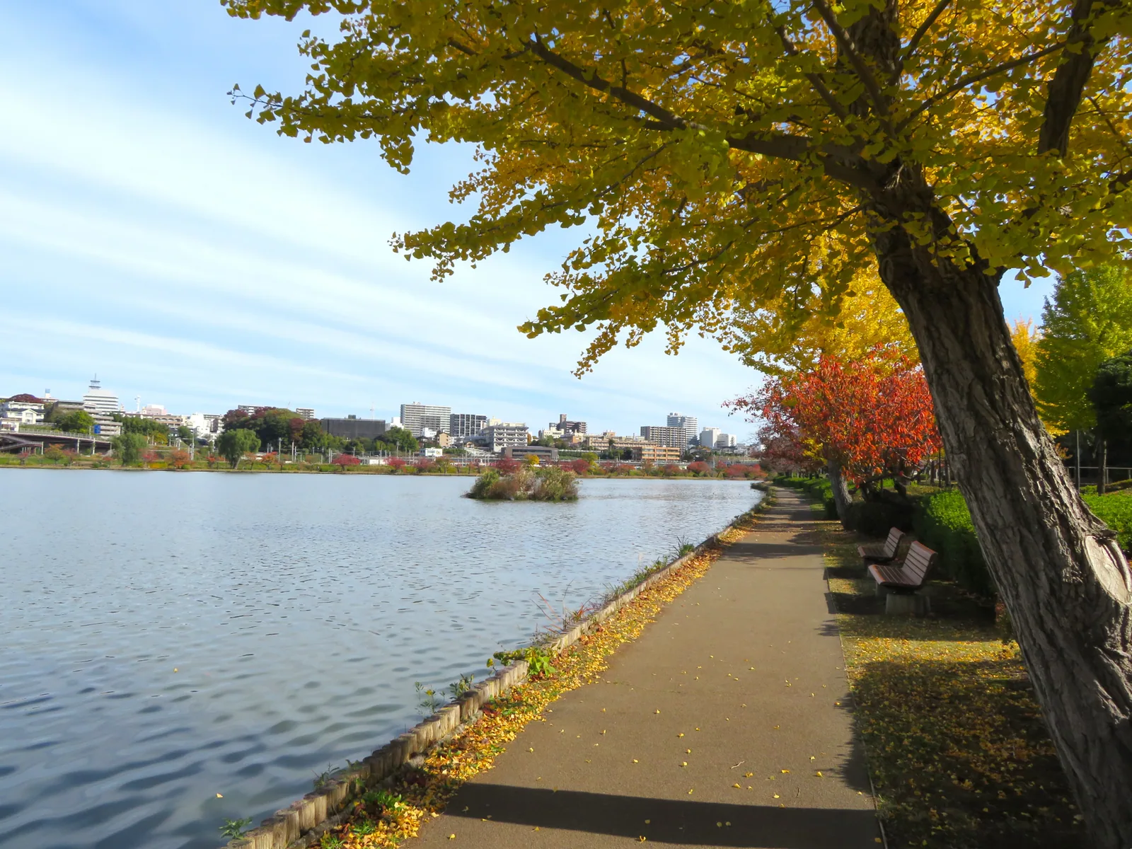 千波湖遊歩道