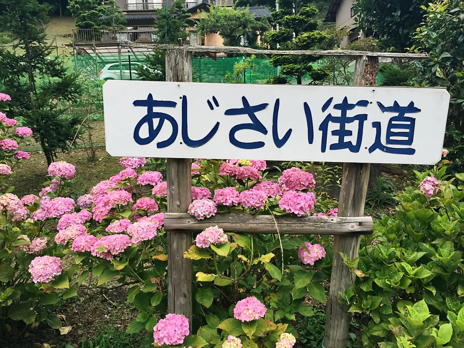 あじさい街道