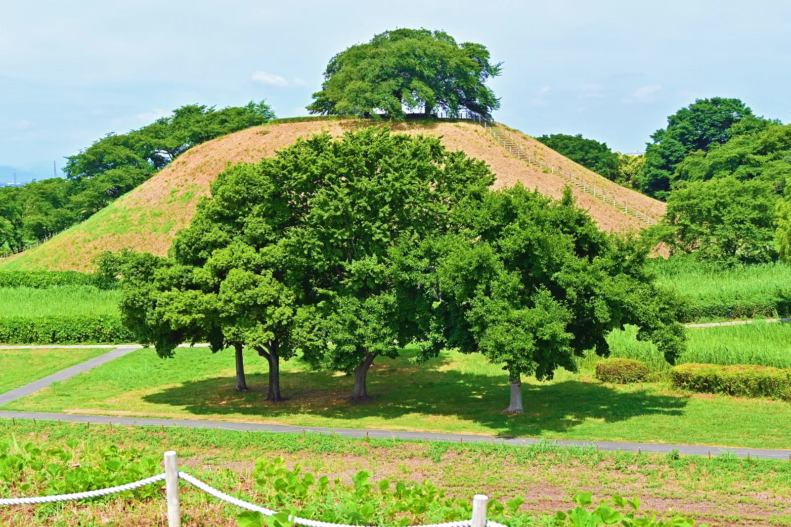 さきたま古墳公園