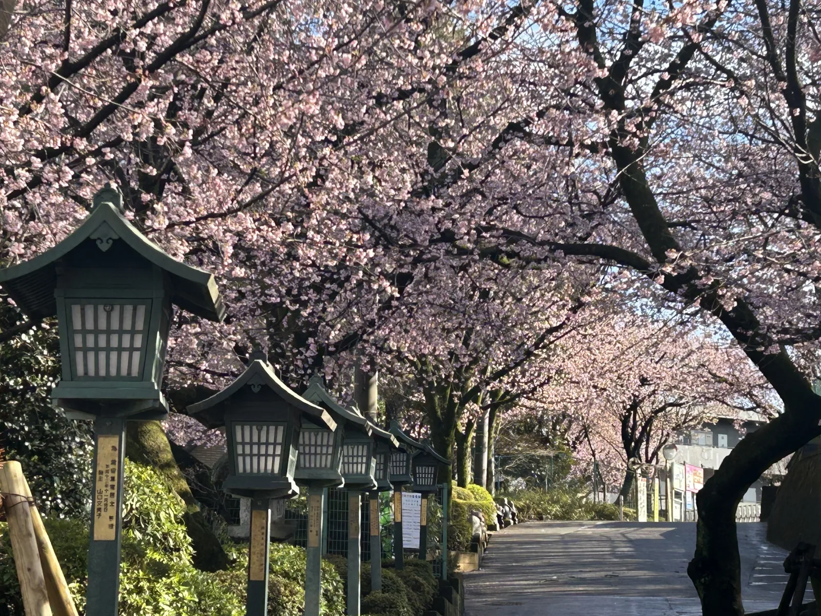 密蔵院