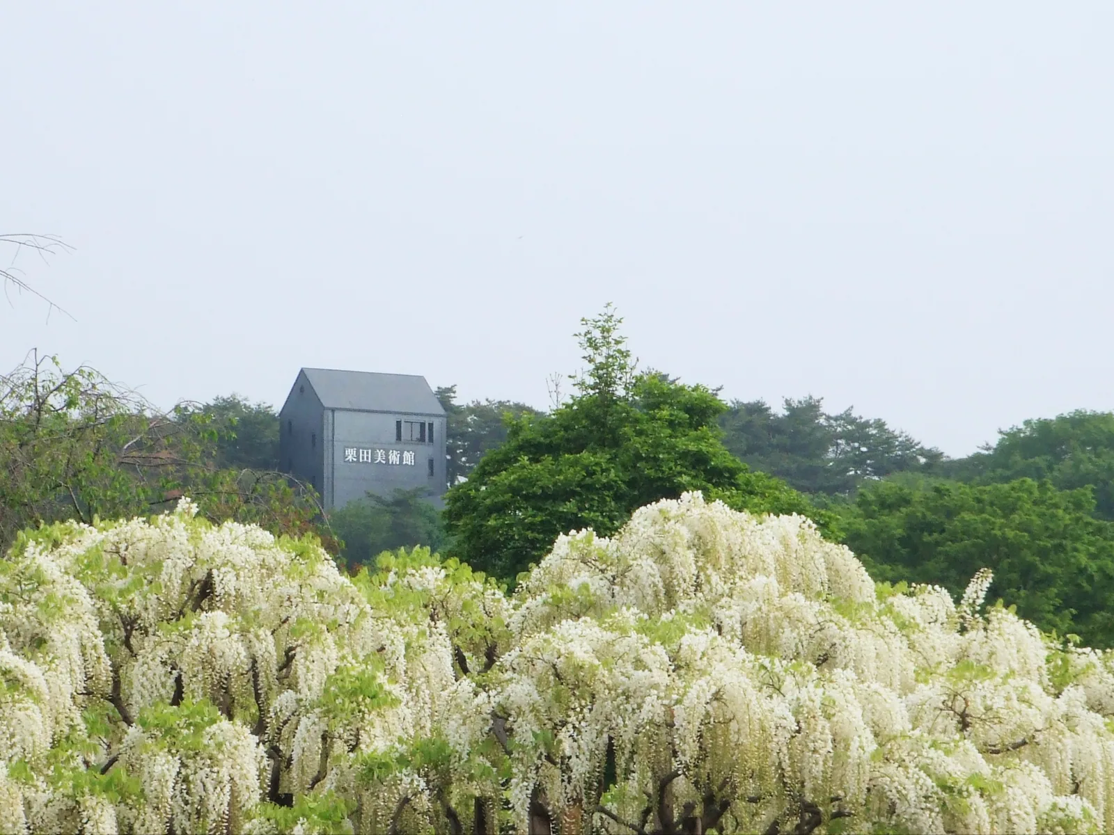 栗田美術館