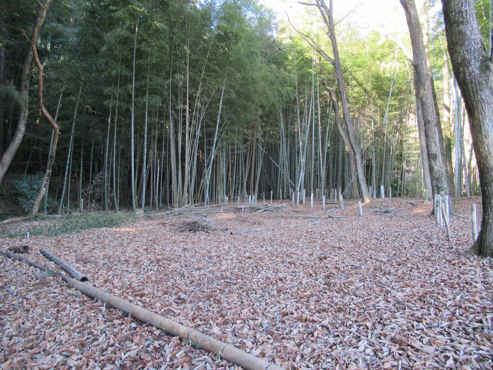 烏山城跡