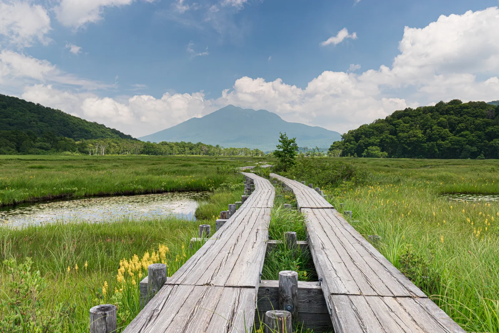 尾瀬ヶ原