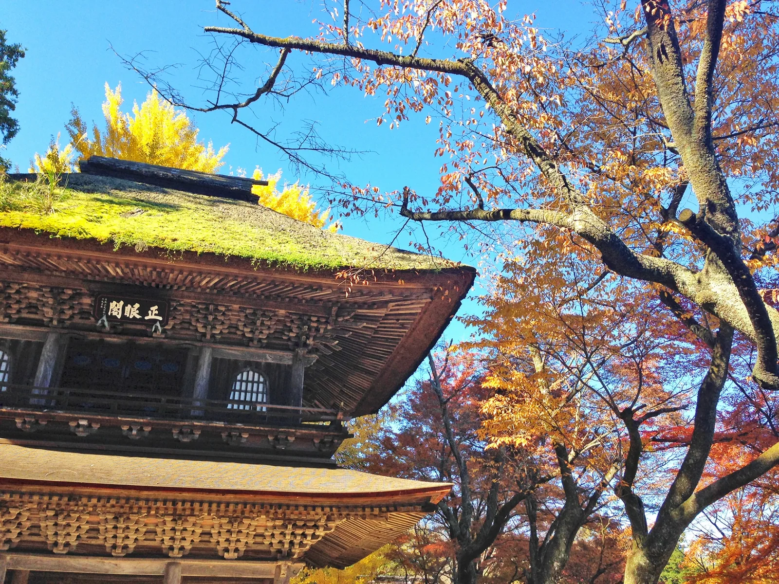 広徳寺