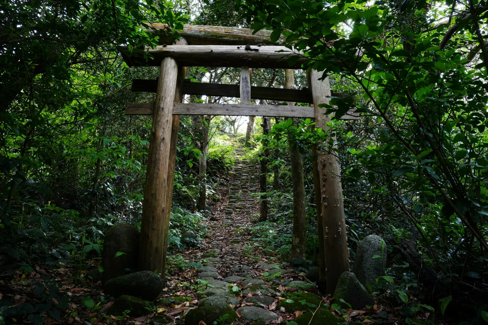 渡海神社