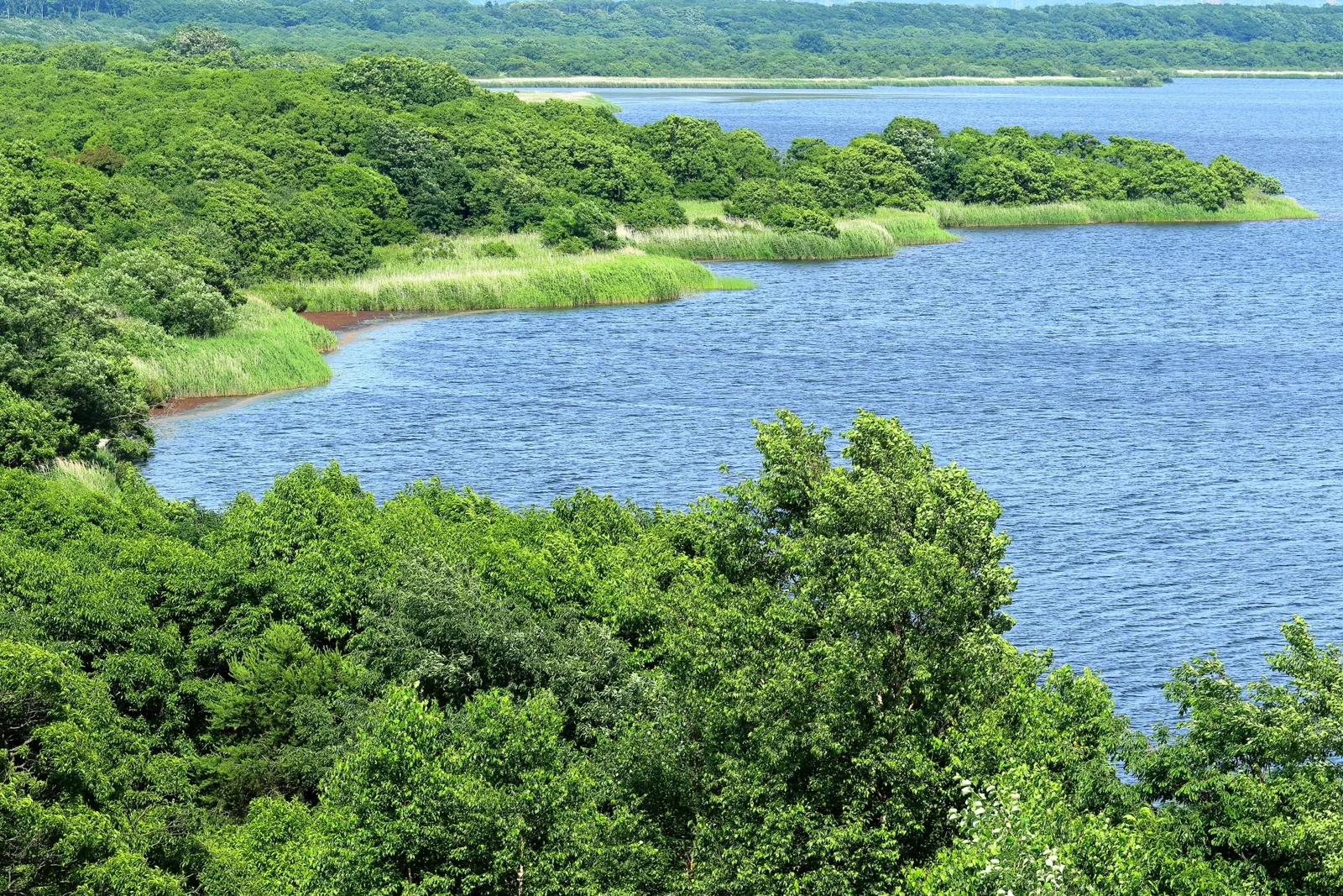 ウトナイ湖