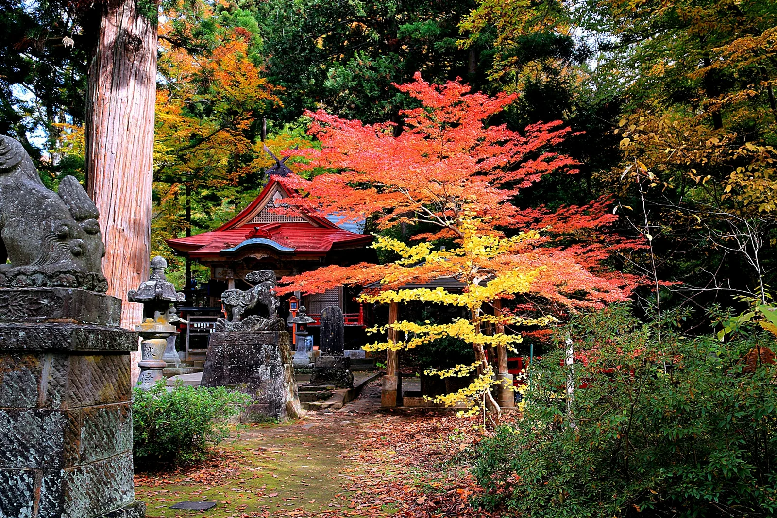 中野神社