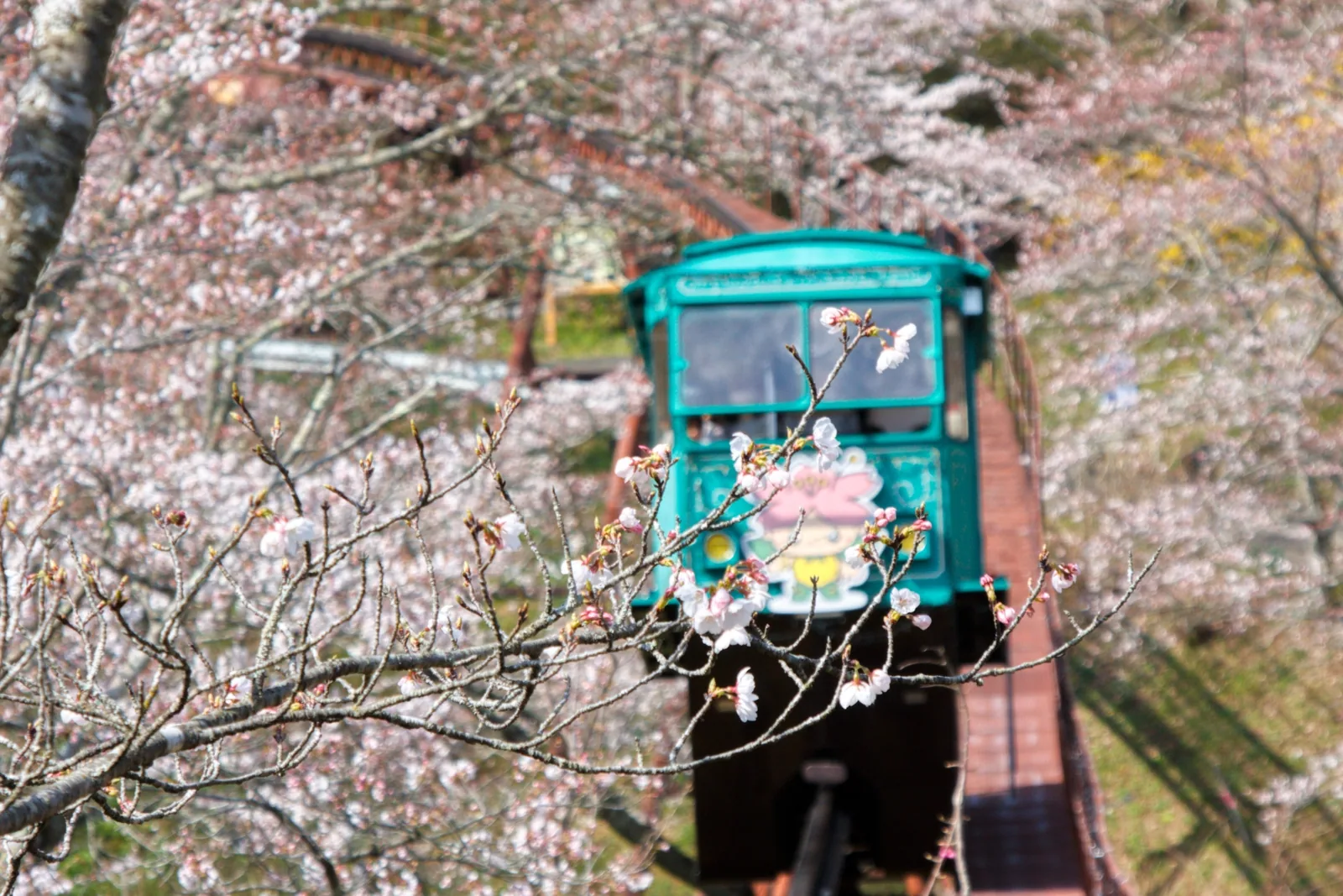 船岡城址公園スロープカー