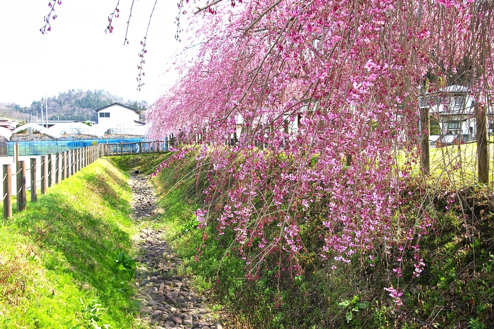 長谷堂城跡(長谷堂城跡公園)