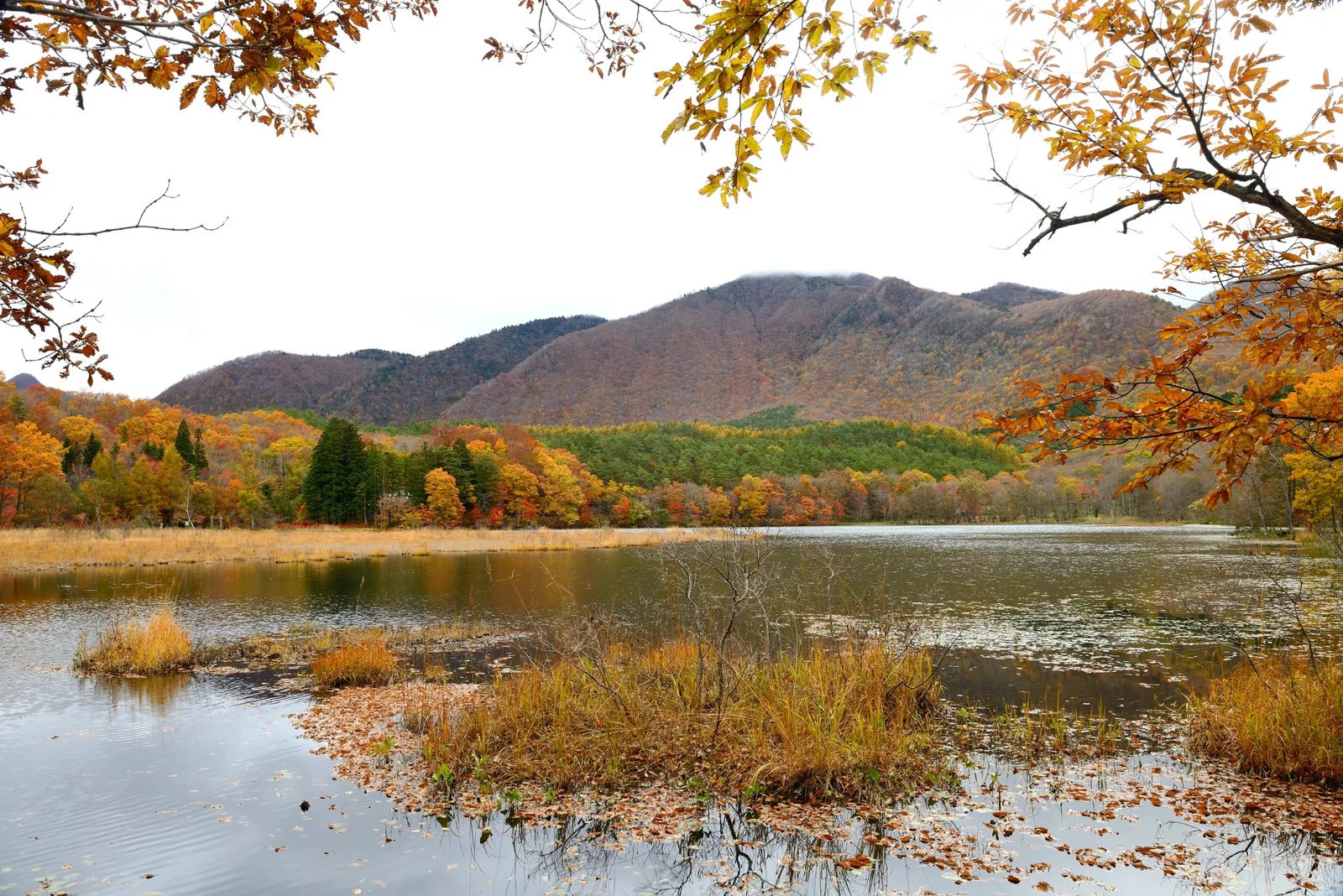 観音沼森林公園