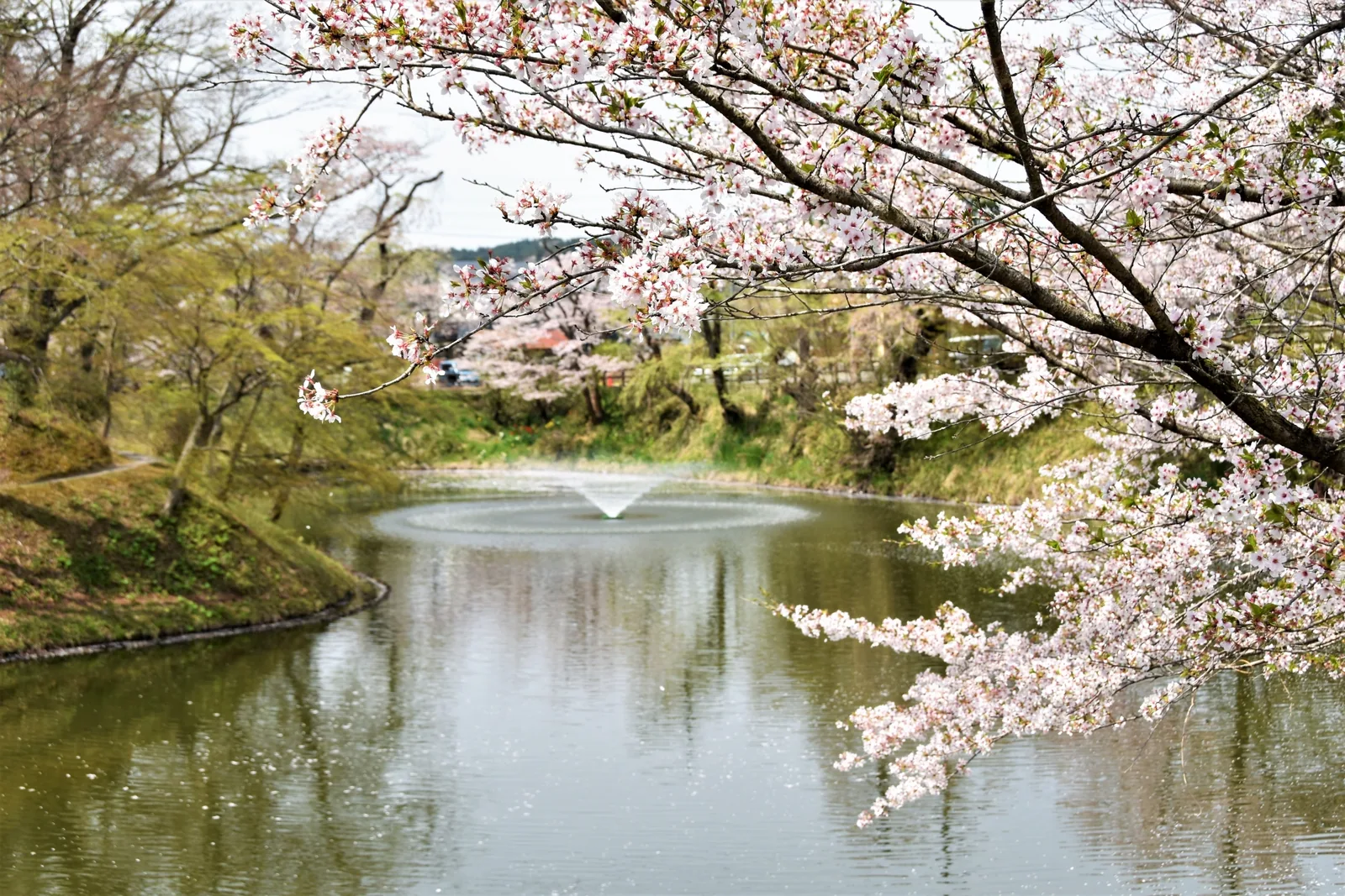 棚倉城跡(亀ヶ城公園)