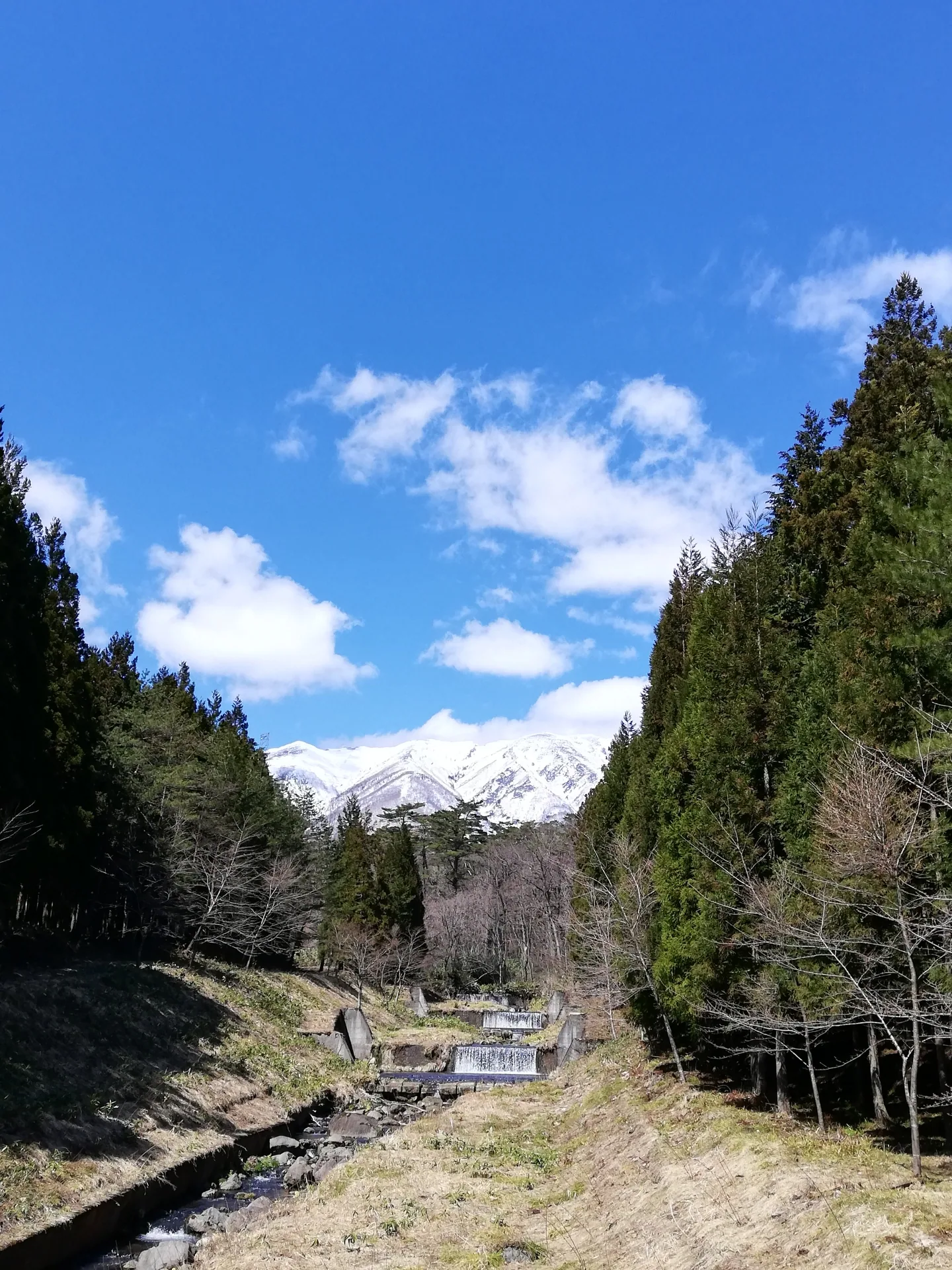 岩手山神社