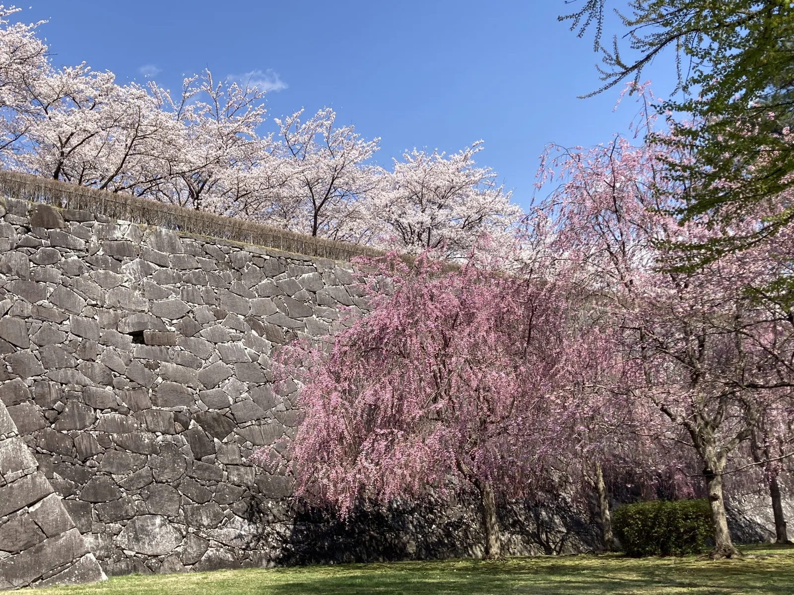 盛岡城跡公園(岩手公園)