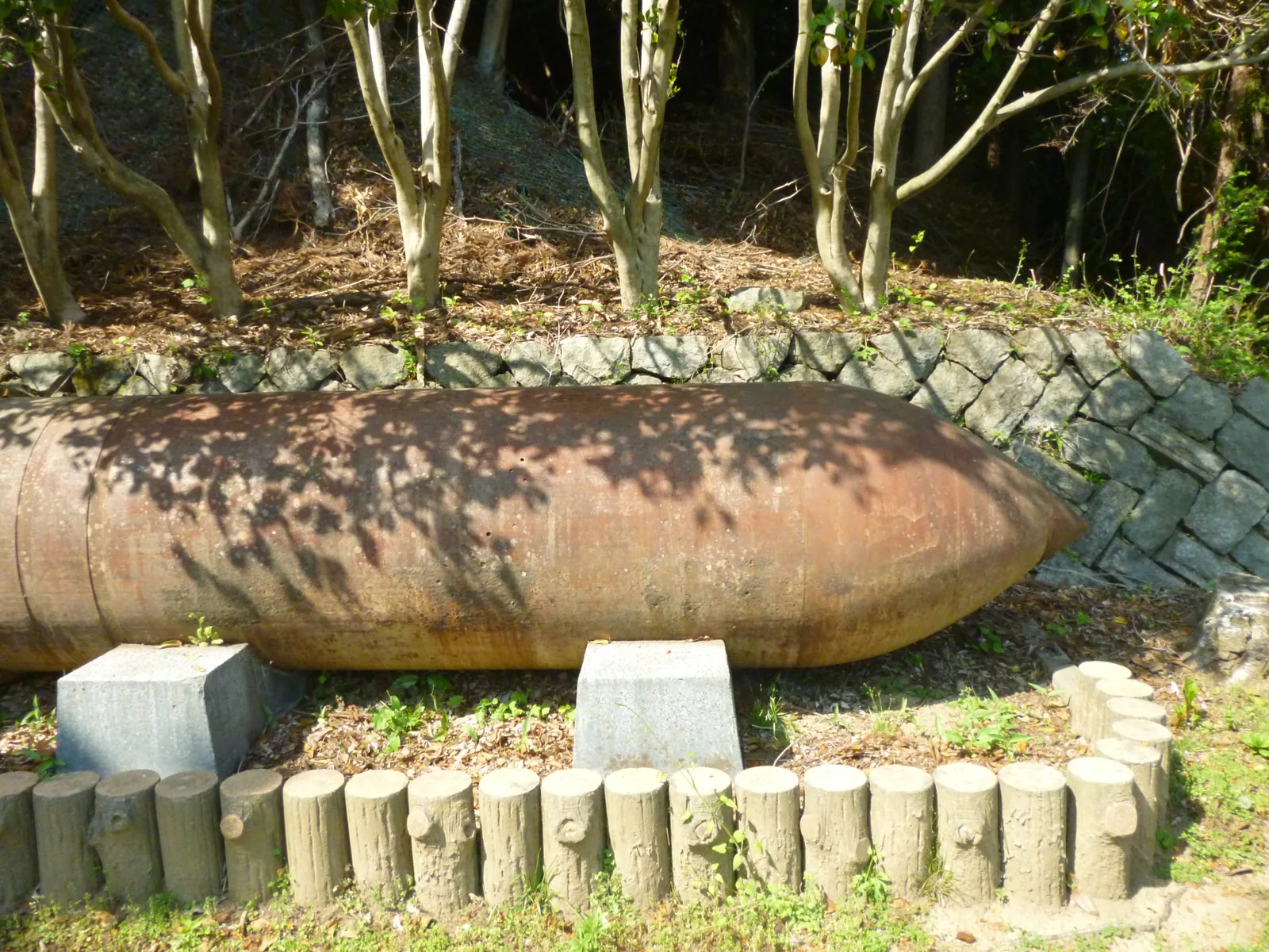 薬師公園