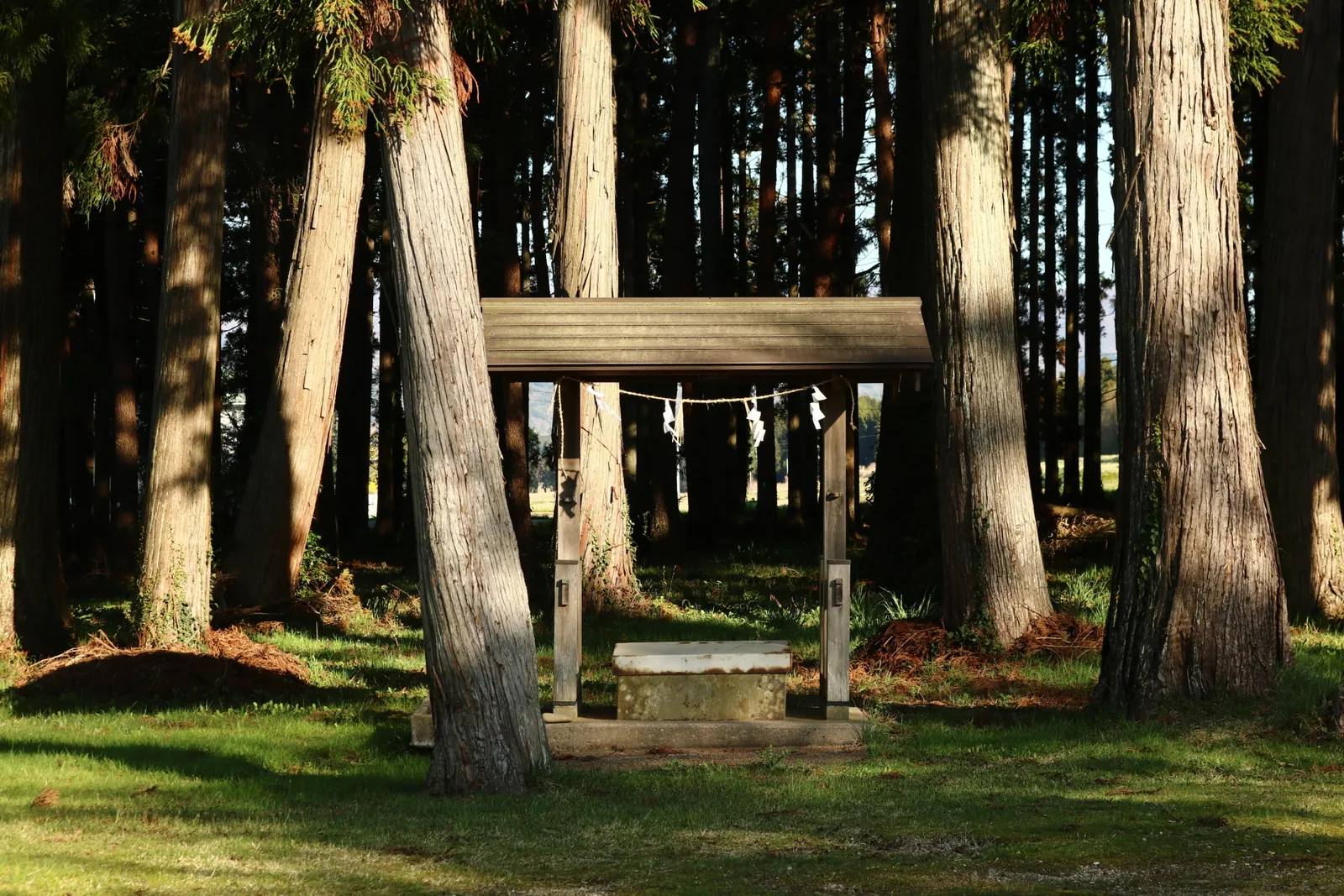 椎崎諏訪神社