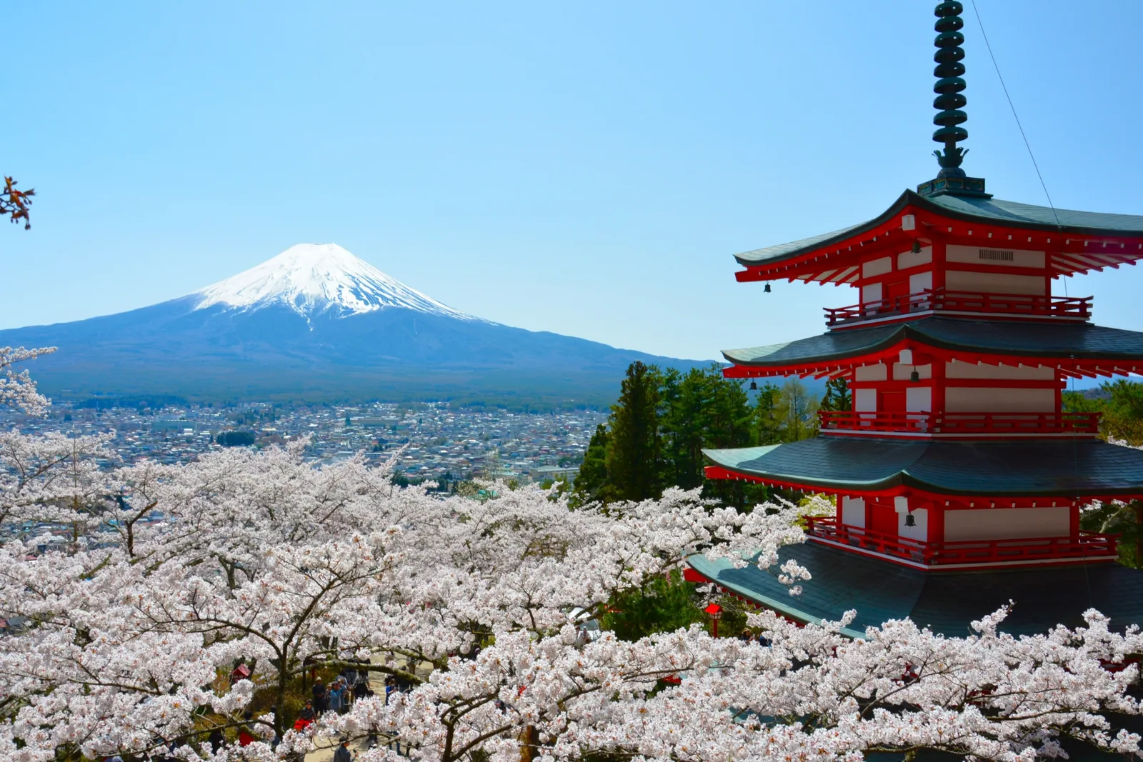 新倉富士浅間神社