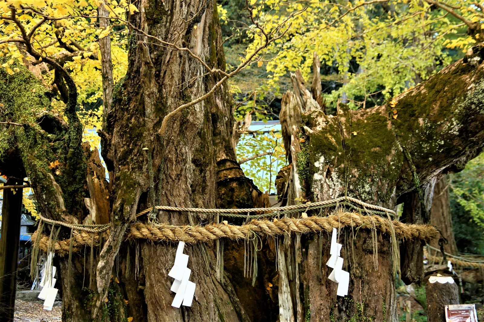伊那下神社