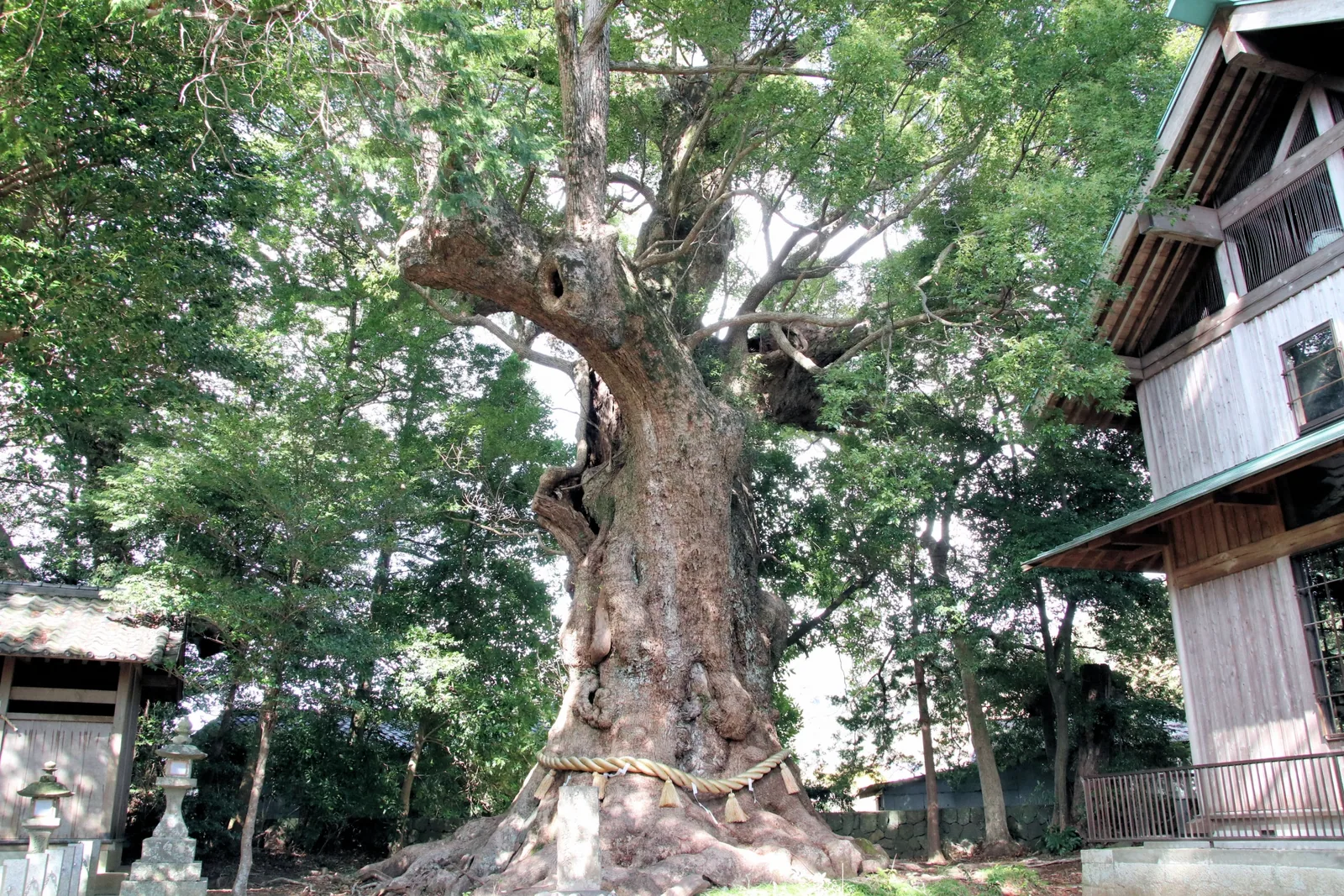 川津来宮神社（杉桙別命神社）