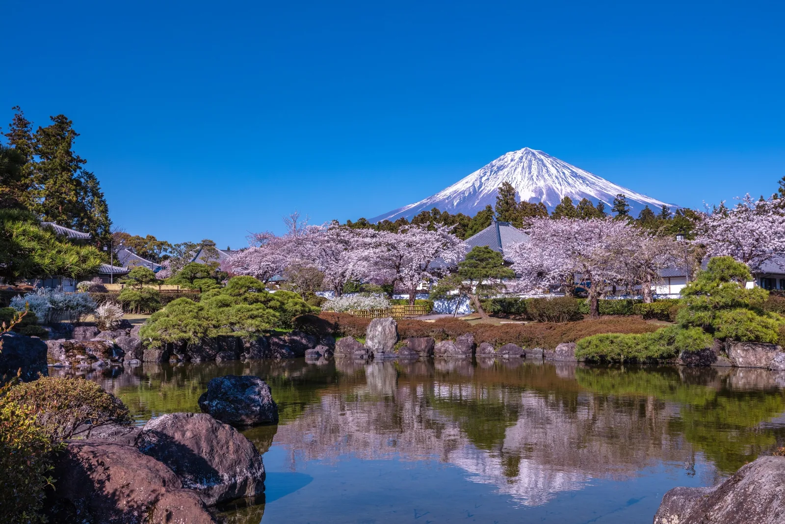大石寺