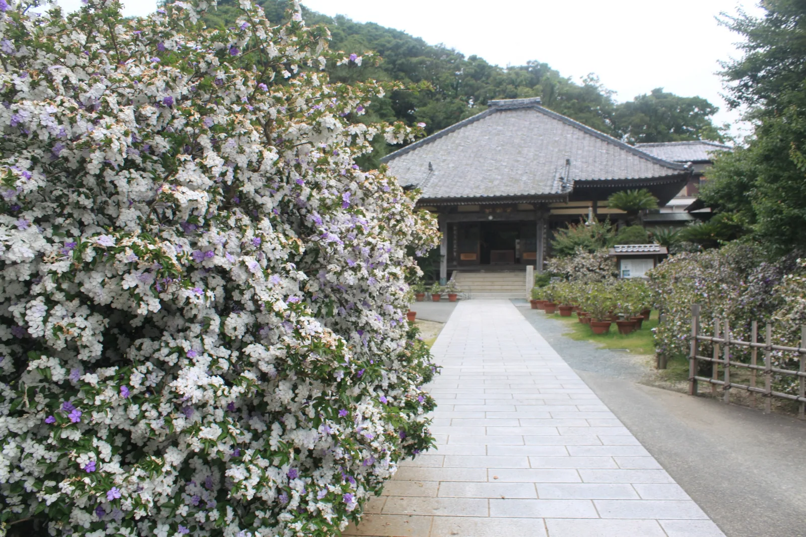 了仙寺