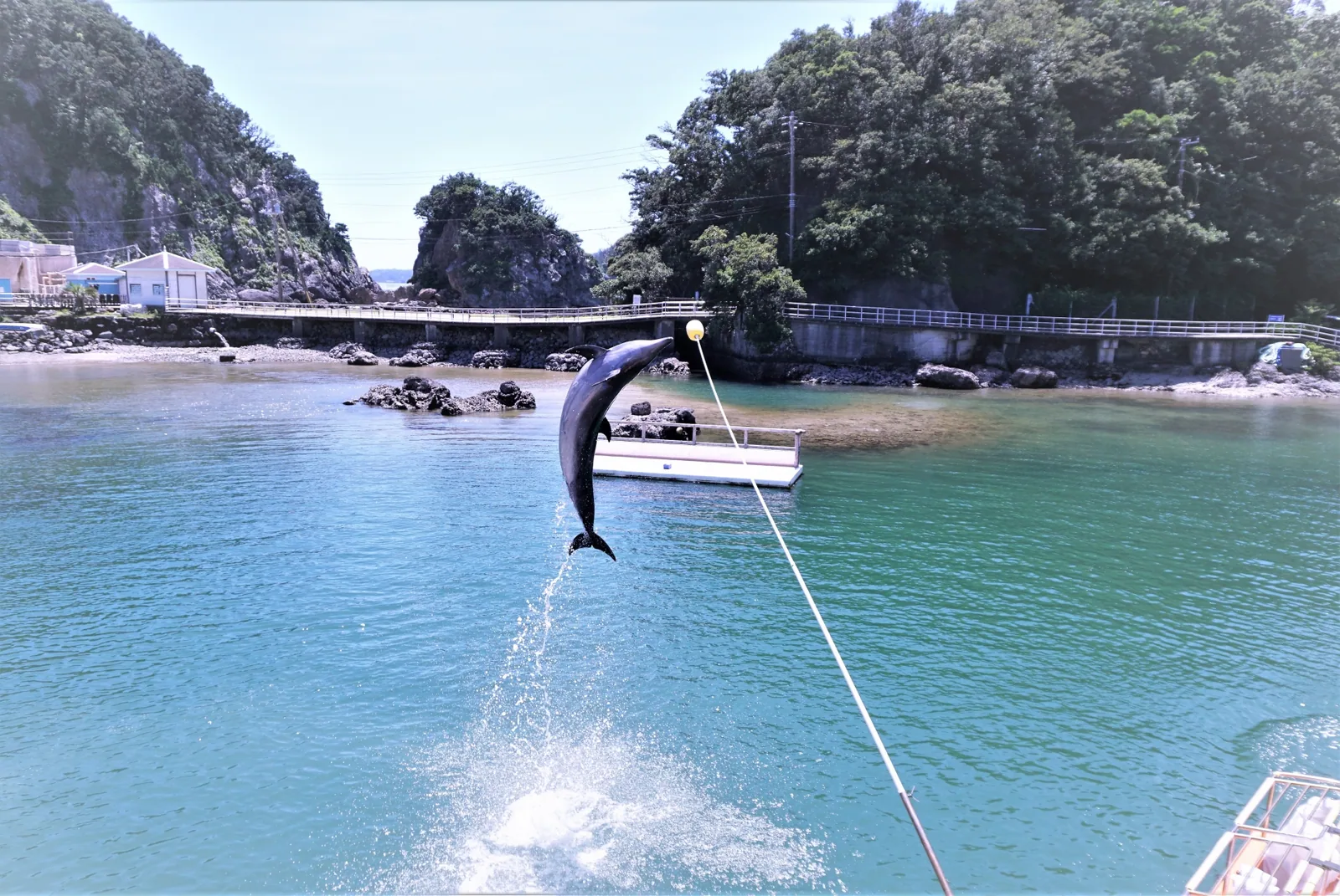 下田海中水族館