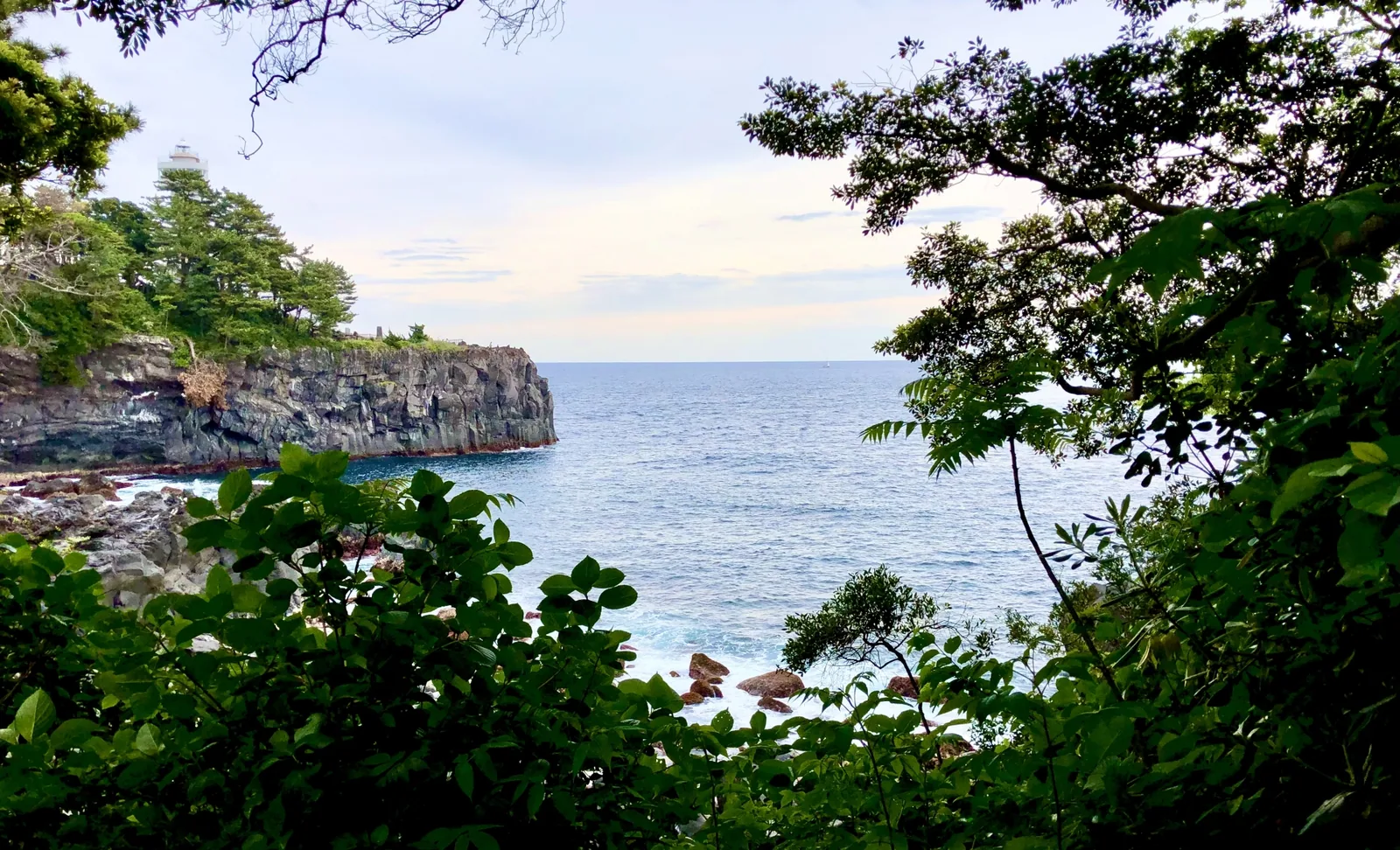 伊豆海洋公園