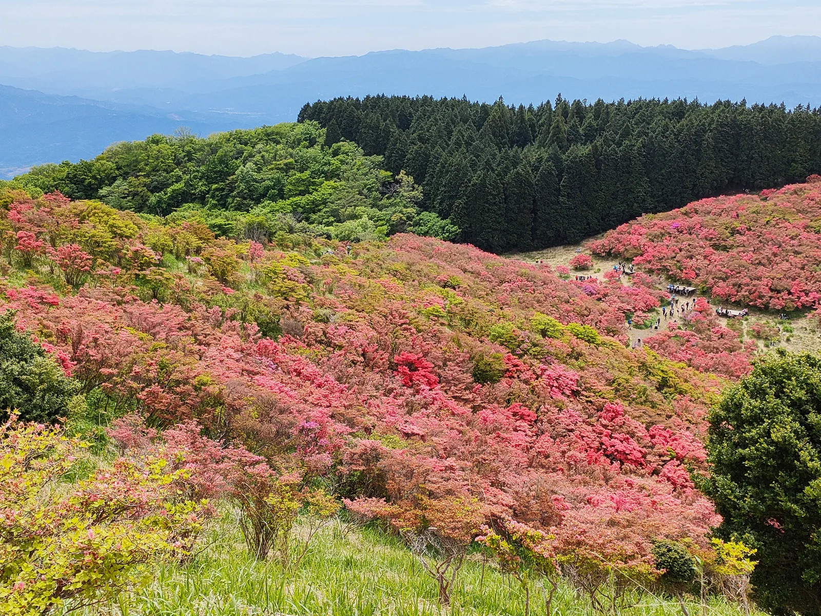 葛城山