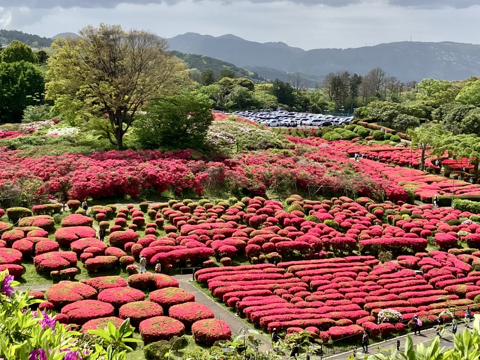 小室山公園