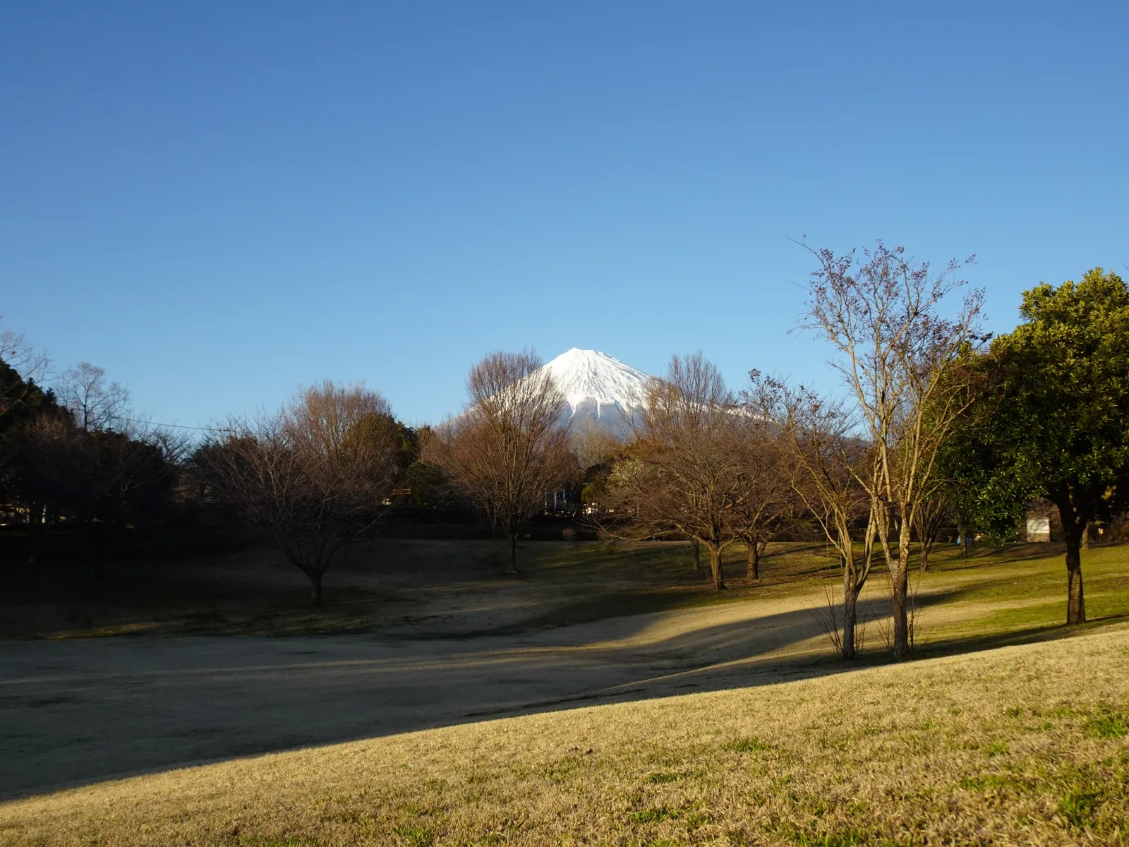 富士西公園