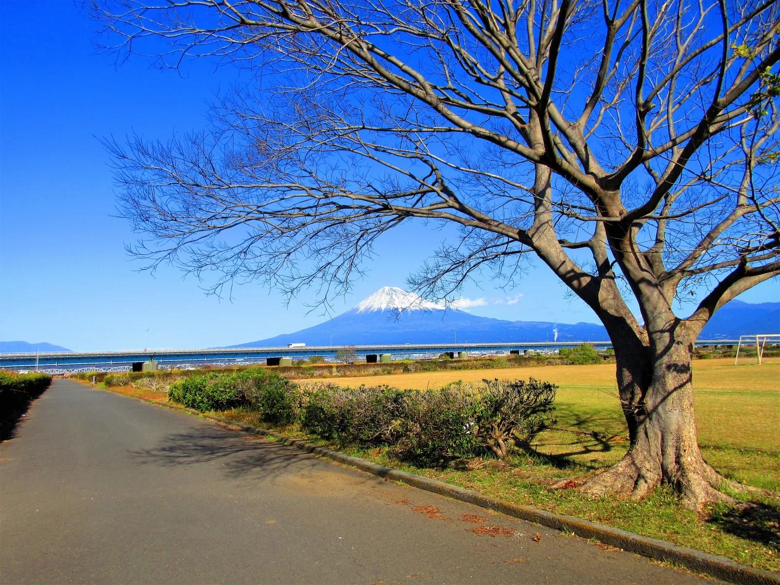 富士川緑地
