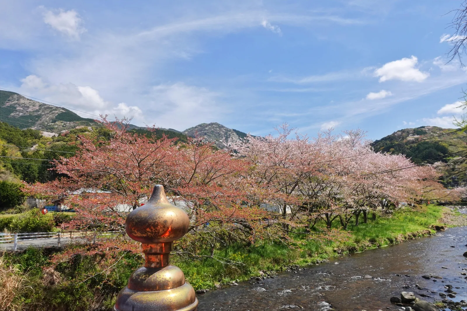大沢温泉