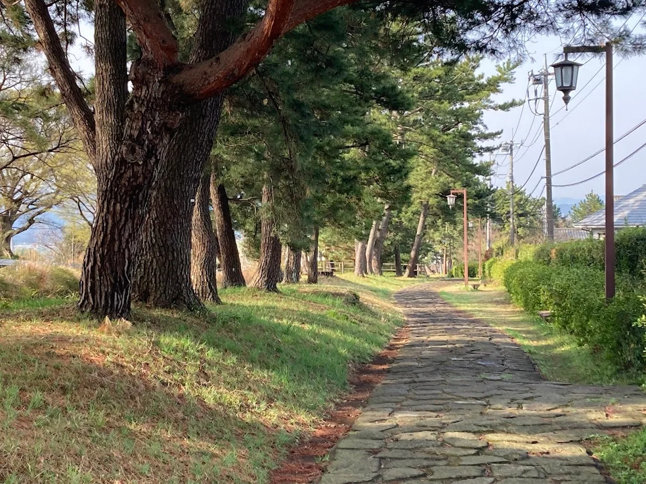 箱根旧街道