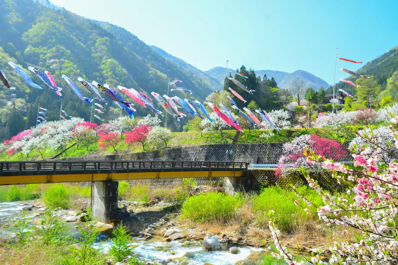 月川温泉 花桃の里