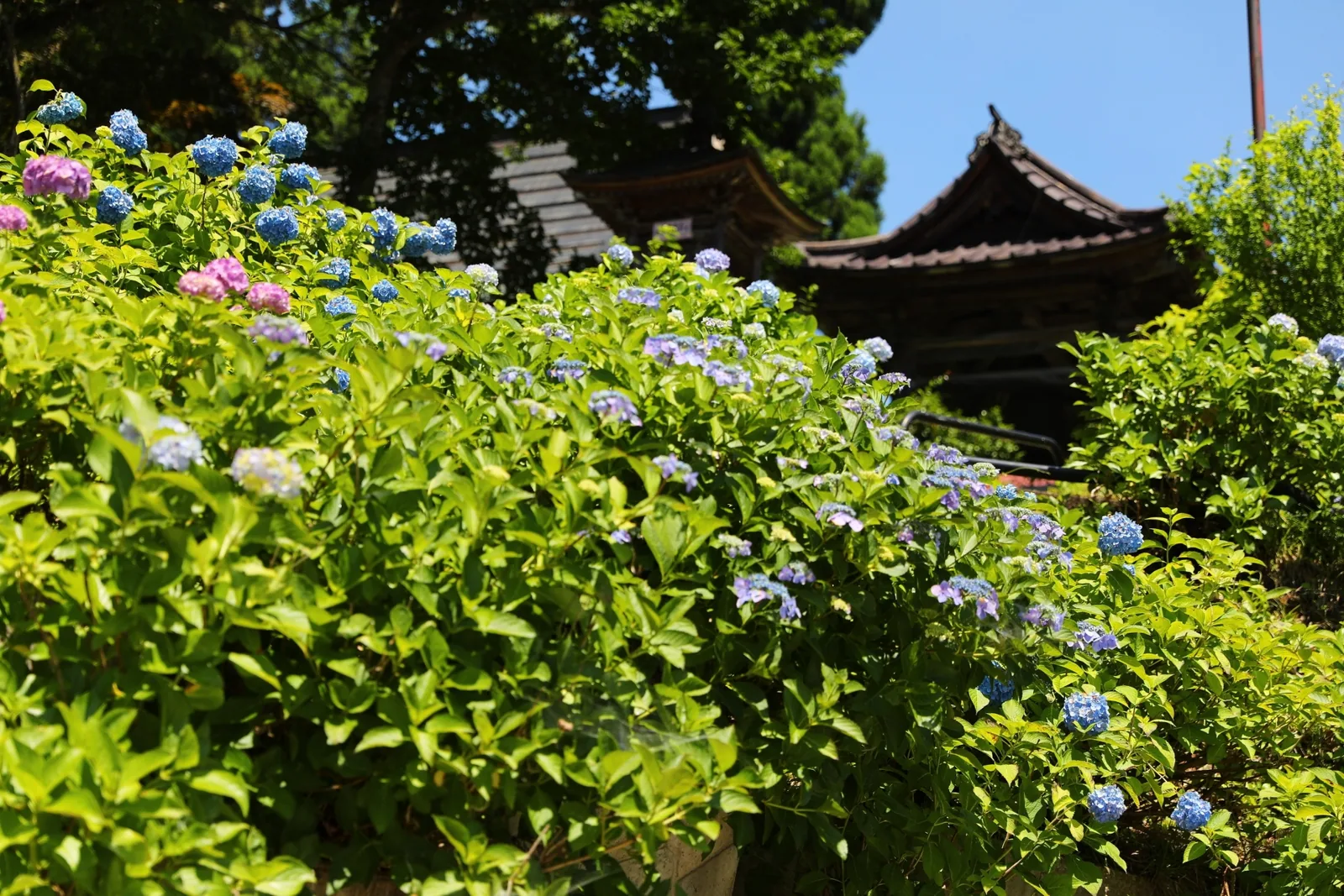 高源院