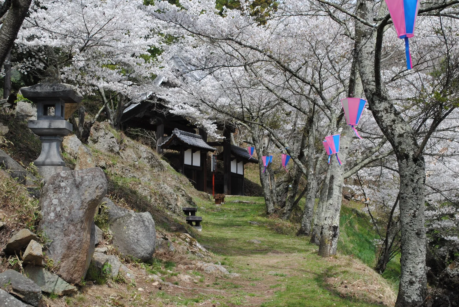 信綱寺